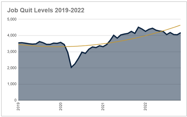 Job Quit Levels 2019 - 2022